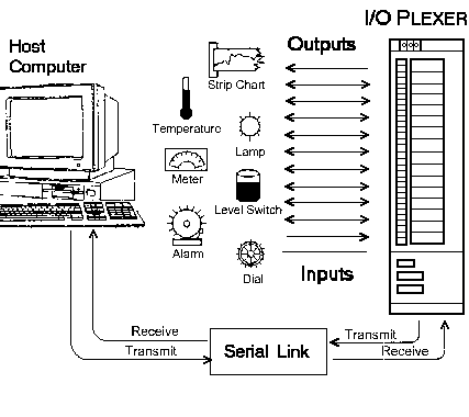 Figure 2-4 I/O PLEXER Network Types